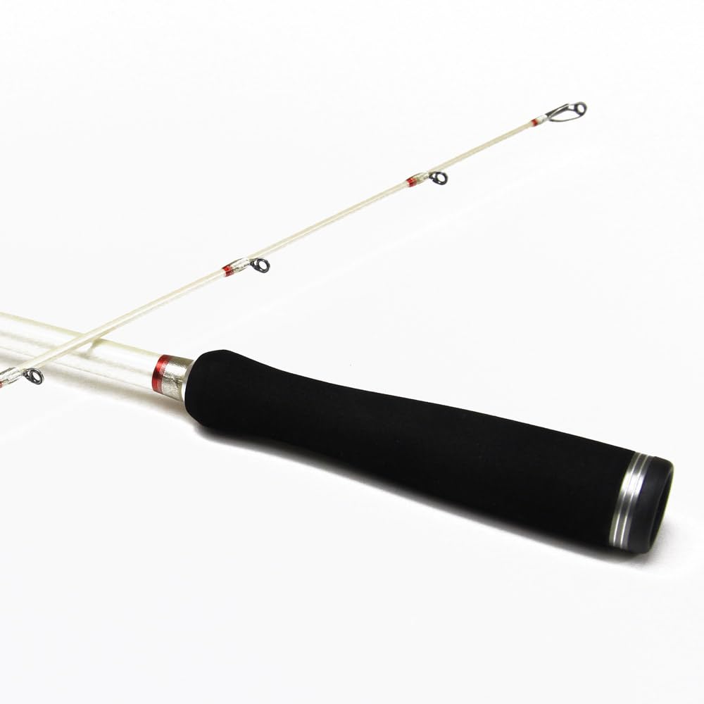 Amazon | ライトゲームに最適 SP船FT500 C30-205 FujiSICガイド搭載